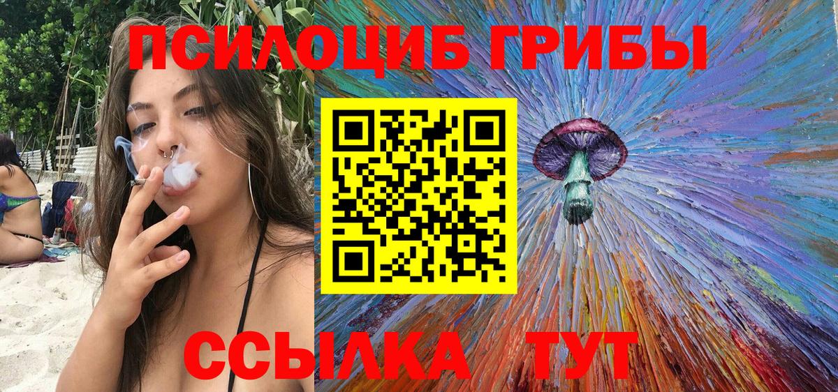 Галлюциногенные грибы Psilocybe  Вход с VPN  Магнитогорск 