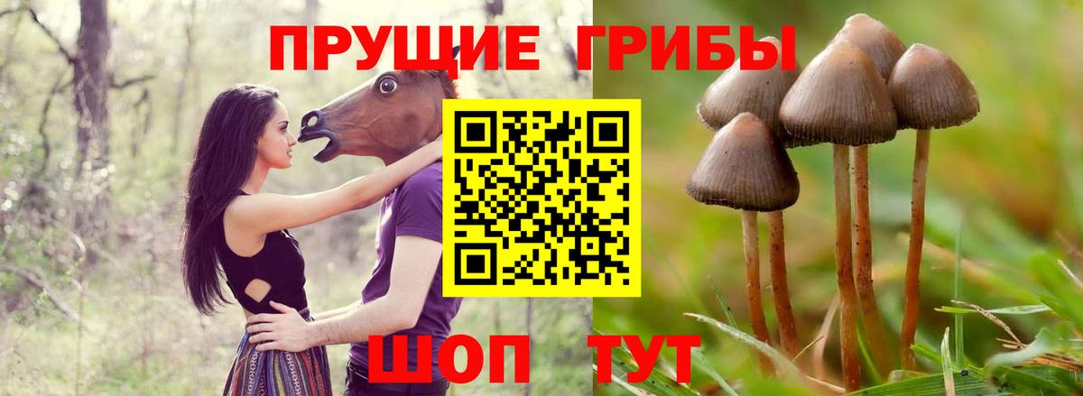 Галлюциногенные грибы ЛСД Магнитогорск